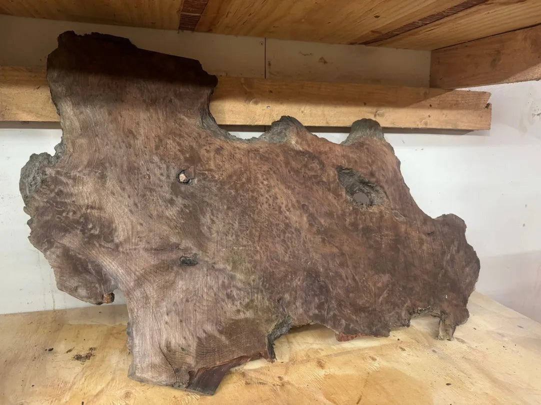 Amazing Redwood Burl Slab