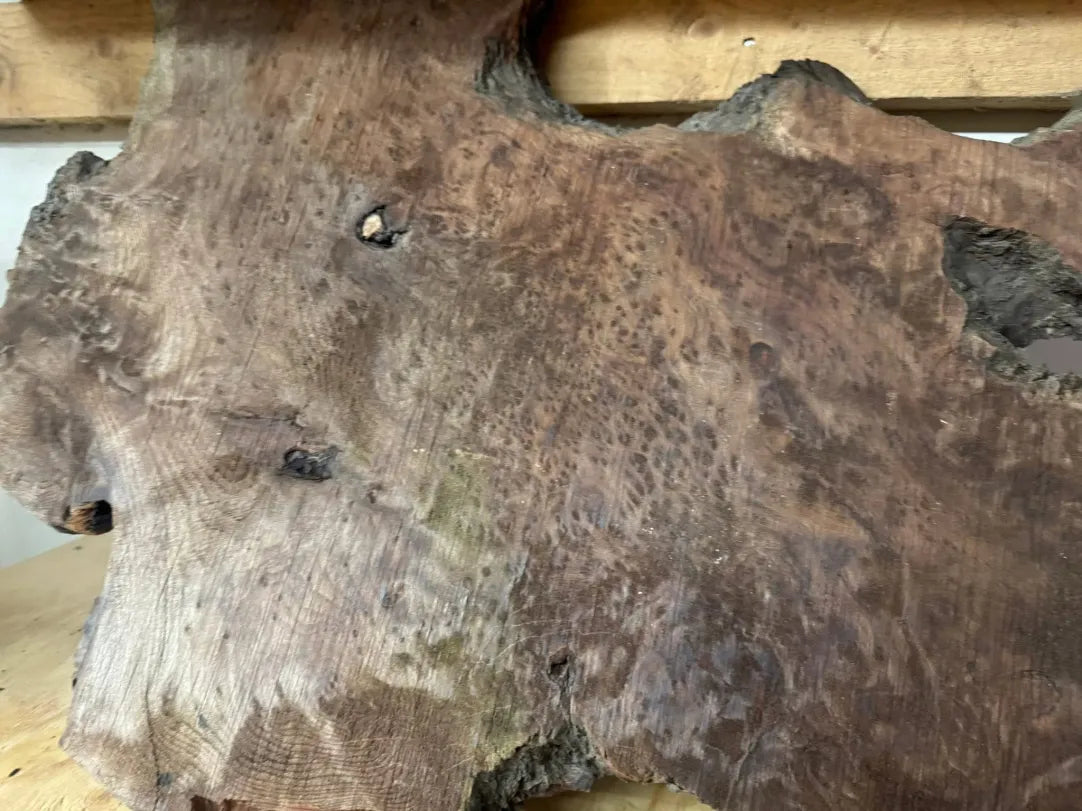 Amazing Redwood Burl Slab