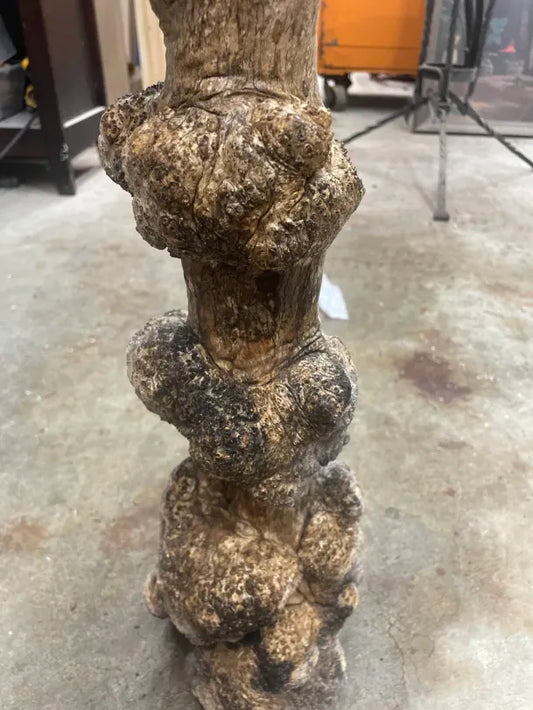 Indonesian Coffee Burl